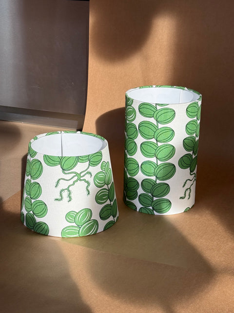 Lampshade - Celotocaulis