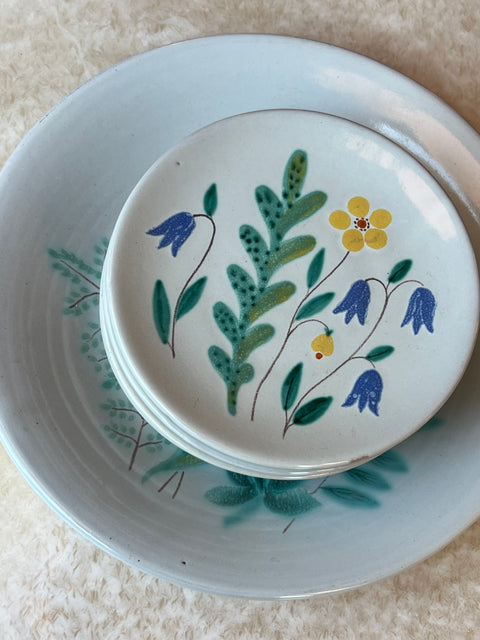 Set of 6 small and one big plate