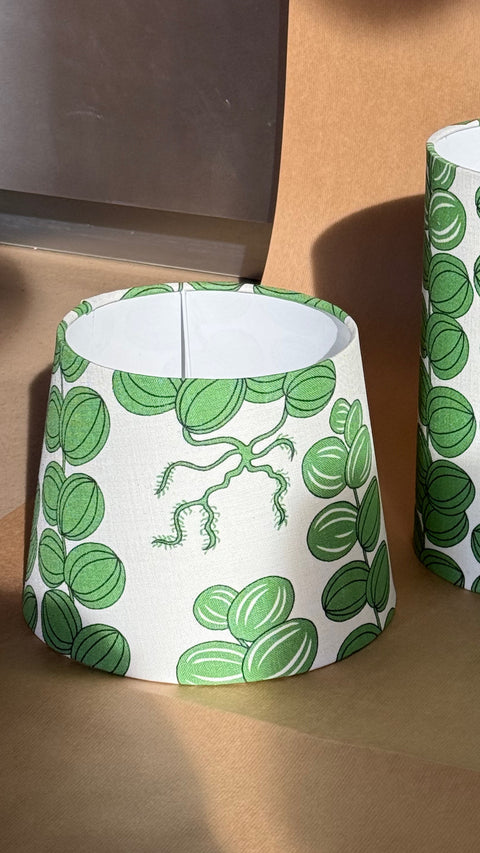 Lampshade - Celotocaulis