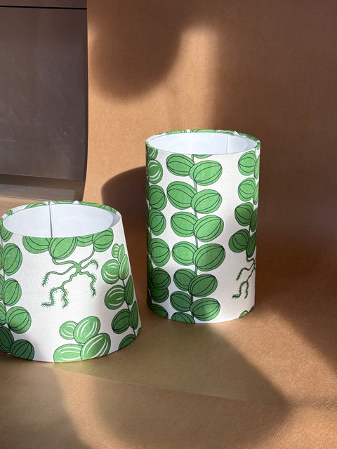 Lampshade - Celotocaulis