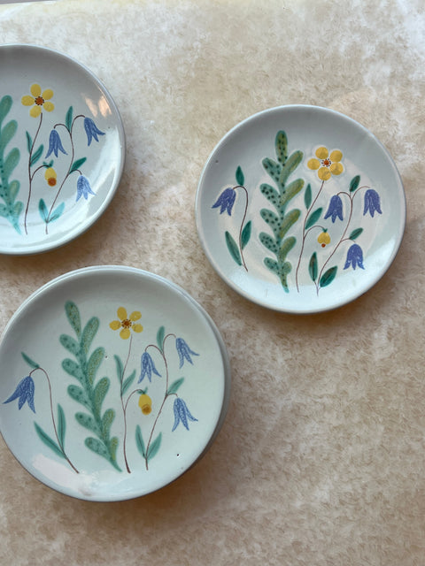 Set of 6 small and one big plate