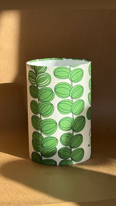 Lampshade - Celotocaulis
